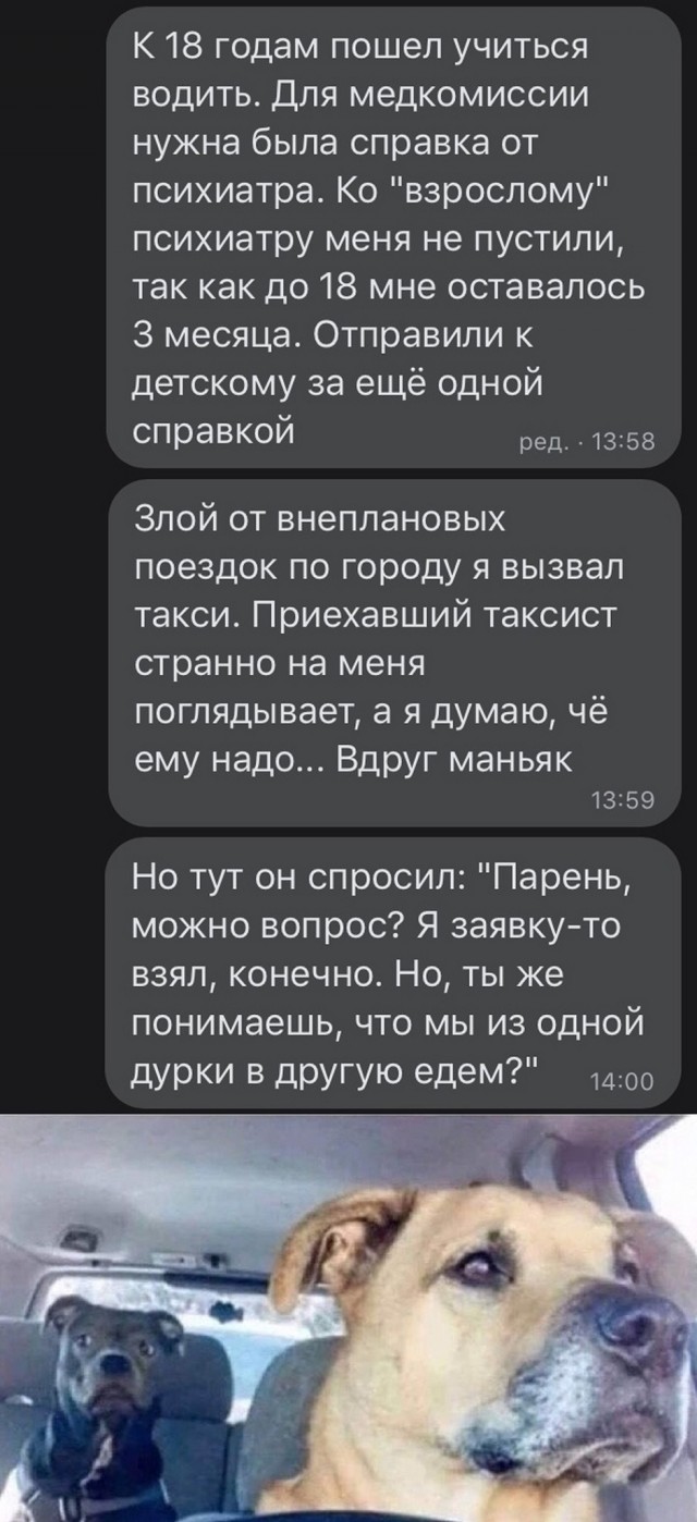 Так себе картинки 13.08.25