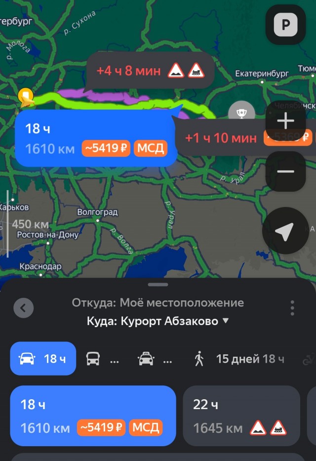Загадочный лес