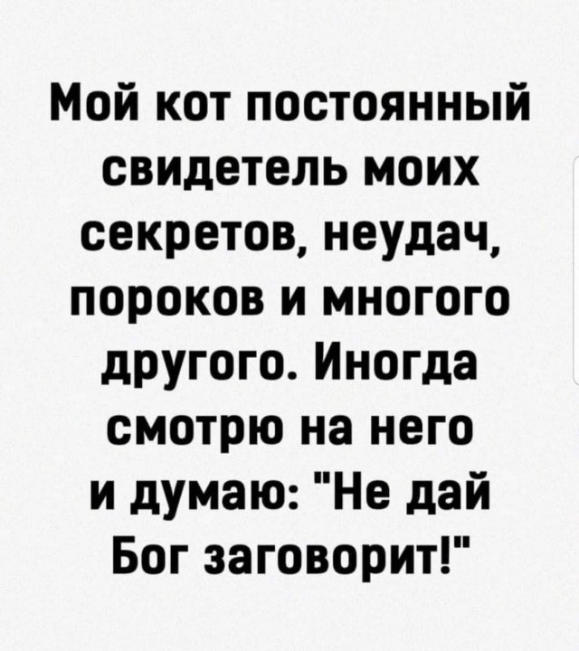 Маленькая пятница 11.11