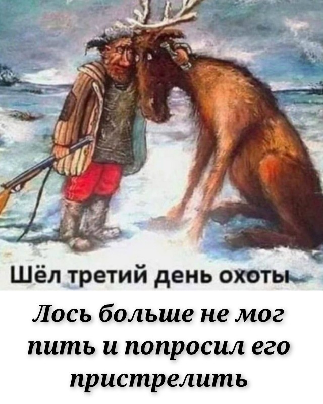 Так себе картинки 11.11.25