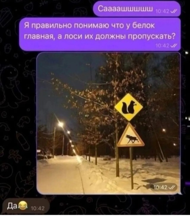 Так себе картинки 29.11.25