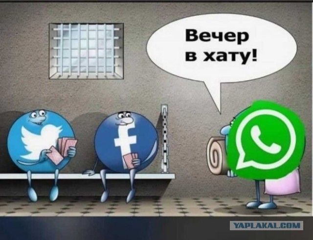 Разной свежести картинки