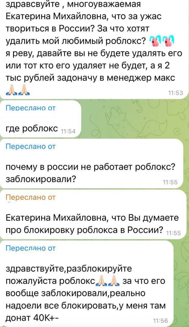 Масштабный сбой в популярном у школьников приложении Roblox. Игра не запускается с самого утра