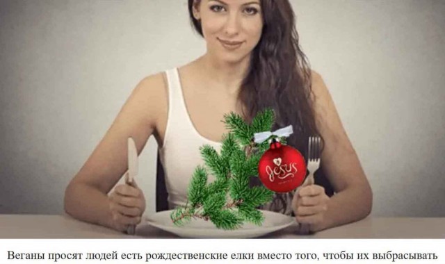 Москвичей попросили после праздника не выбрасывать елки из окна