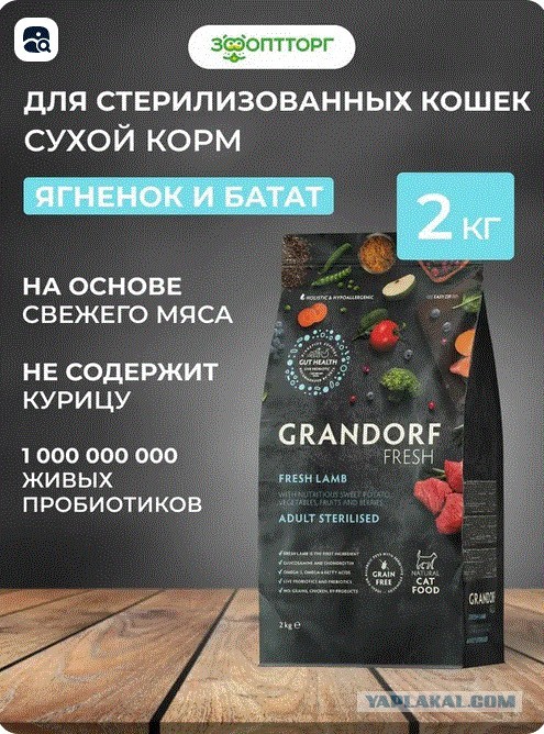 Кто чем кормит?