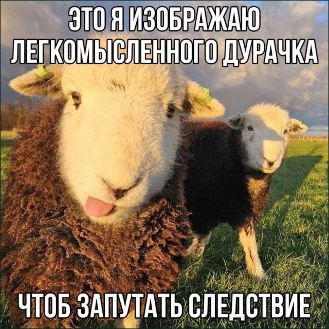 Нуштош. Познание как то, чего следует остерегаться во избежание нервного срыва (s5e6)