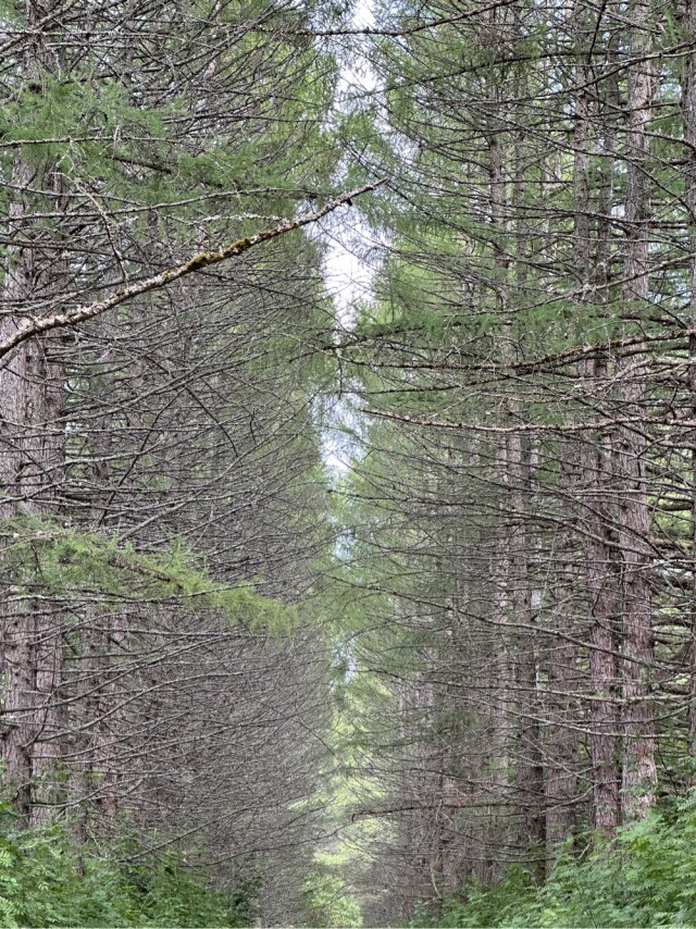 АРТ-Воскресенье