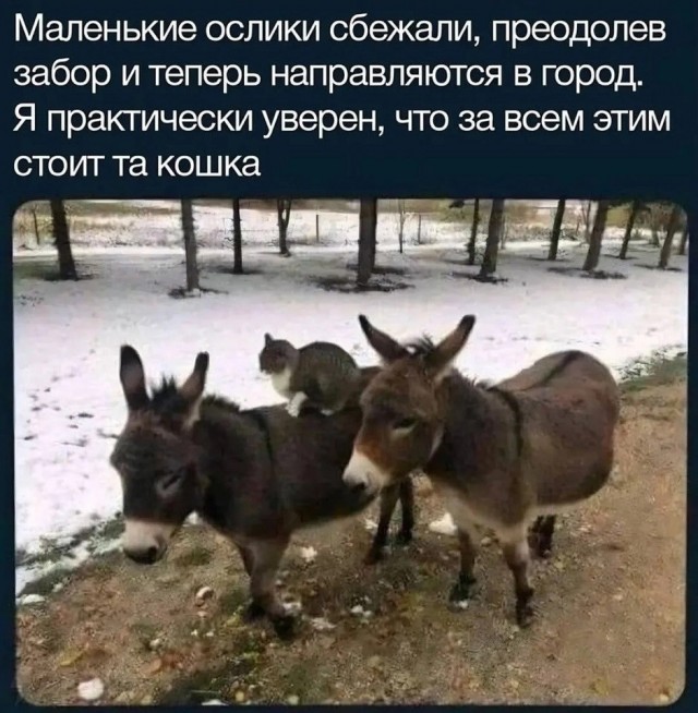Так себе картинки 08.05.26