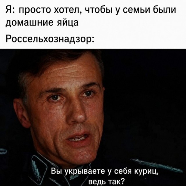 Картинки для деградации 269 (разной степени свежести)