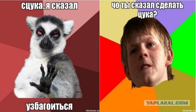 Узбагойся