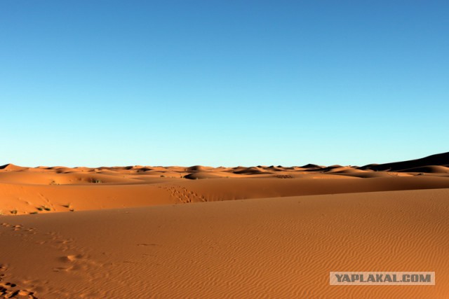 Новогодняя ночь в пустыне Сахара