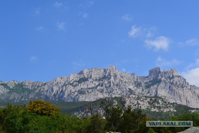Отдых в Крыму 2014