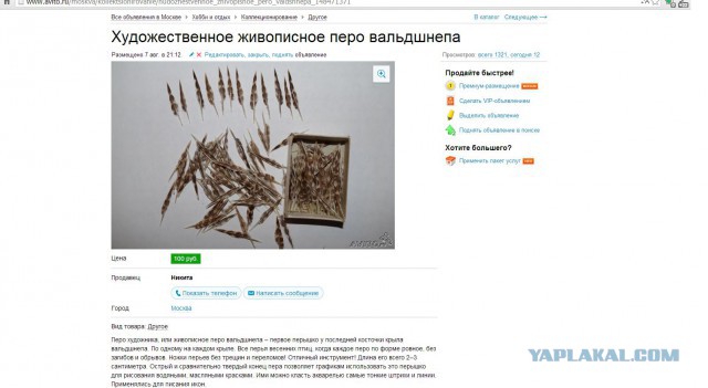 Что за зверь?