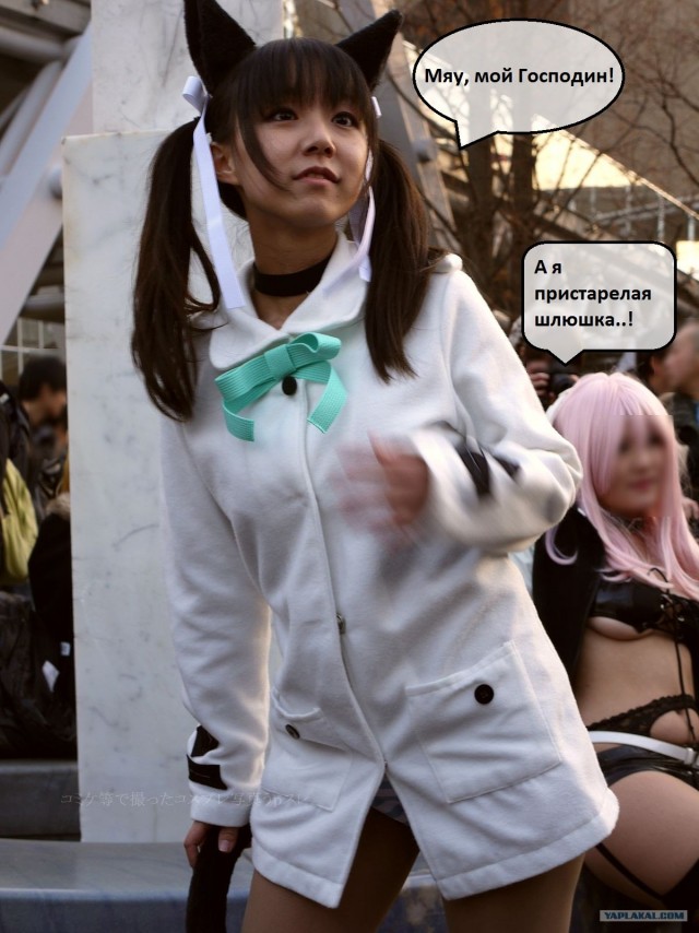 Фото с Comiket 81 /人◕ ‿‿ ◕人\