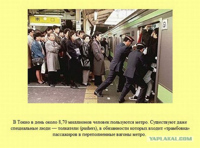 20 фактов обо всем