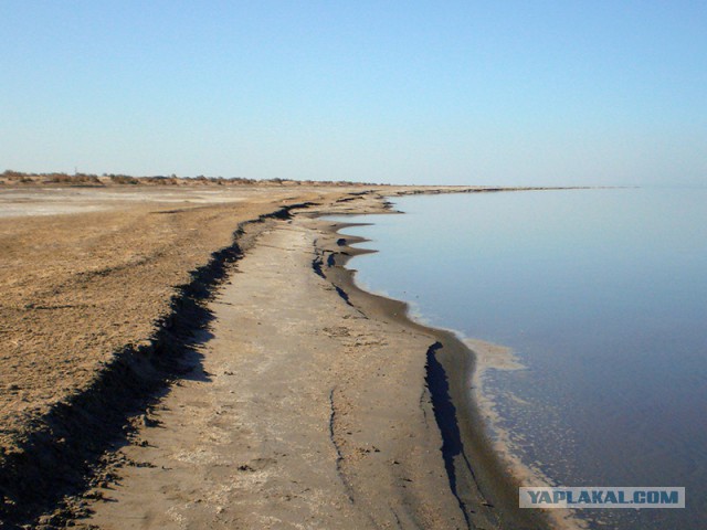 Хроники несожженного фотографа