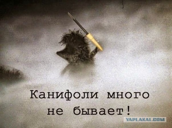 Радиотехнический