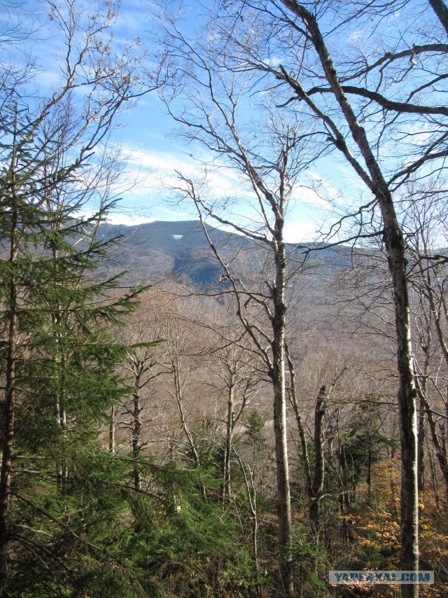 Деревенская Америка