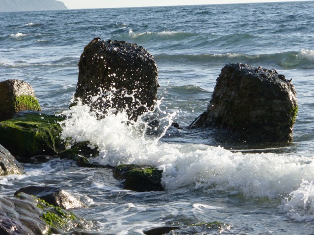 Такое разное Чёрное море