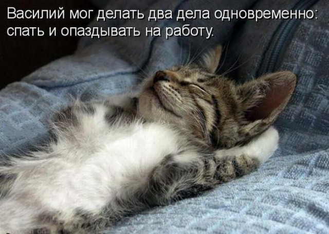 Картинки, СМСки из вашего тырнета