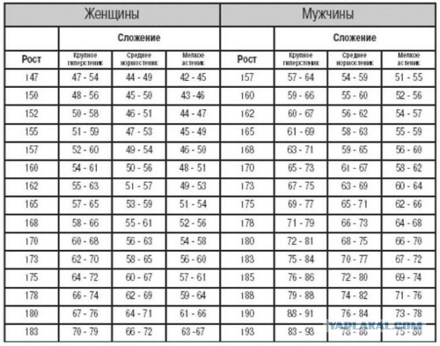 Толстые тётки наступают