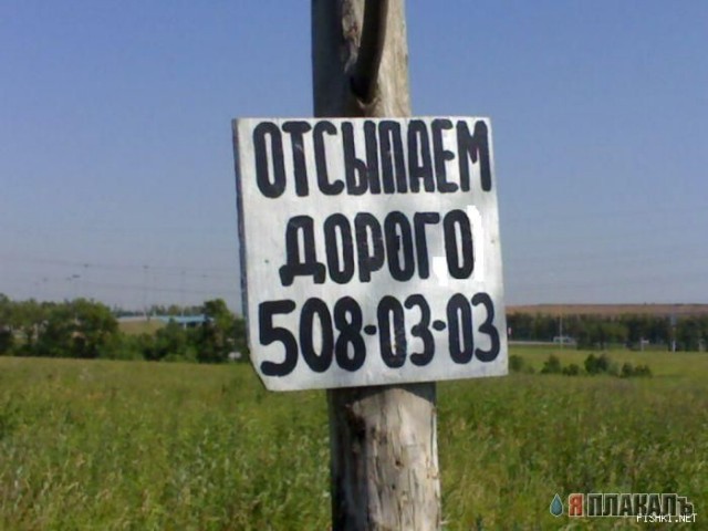 ВЫВЕСКИ, ТАБЛИЧКИ. Смешные и прикольные