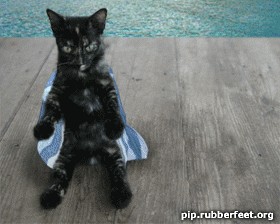Народный котомет на фторинег