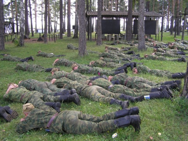 Сегодня к нам прибежал вот такой пёс