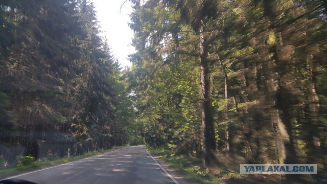Бешеный закат Гарлема часть вторая