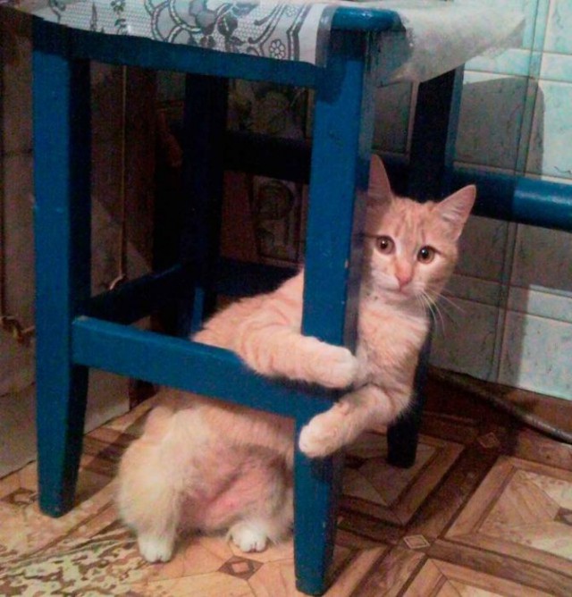 Разные картинки из сети