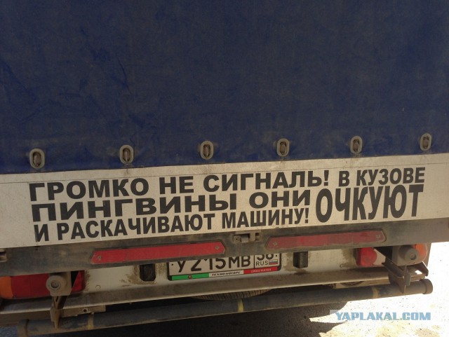 Немного надписей на авто