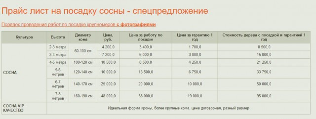 Дело об украденной у пенсионерки елке дошло до СКР