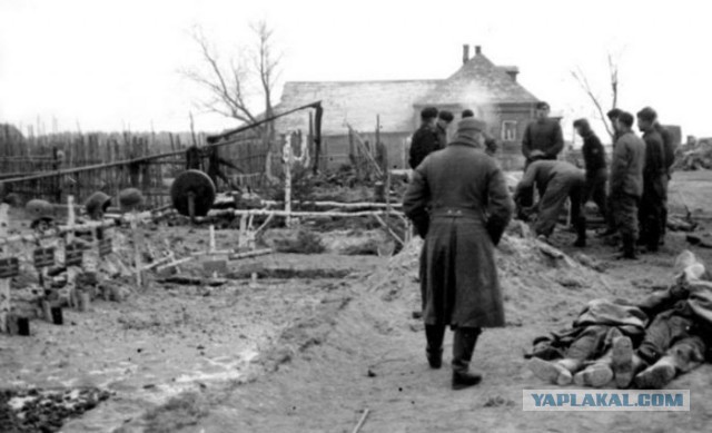 1941 год в цвете. Война