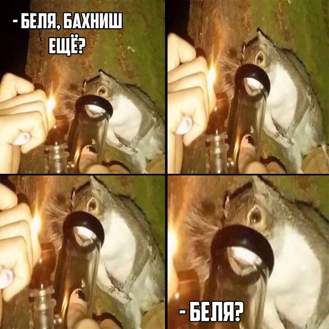 Деградации ЯПу