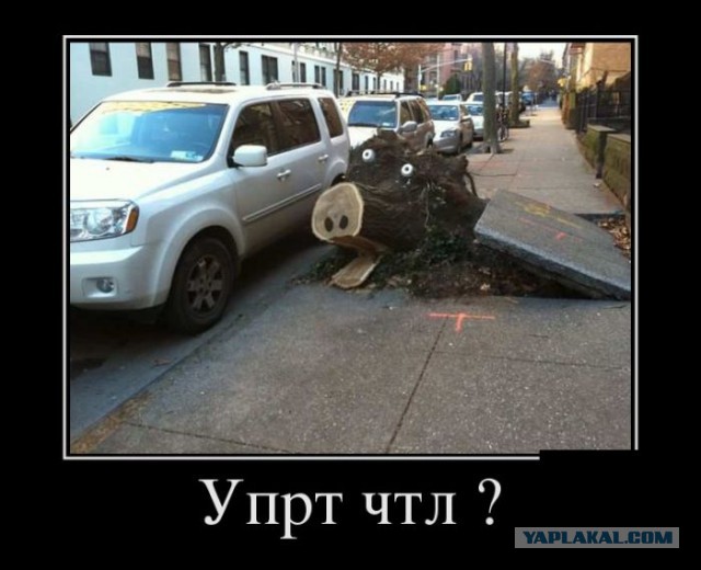 Капелька наркомании