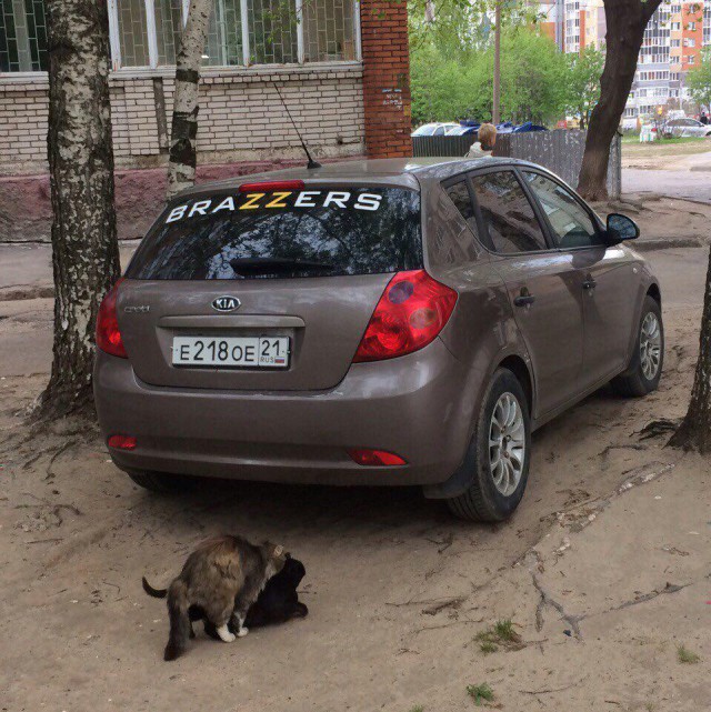 Нестандартный юмор