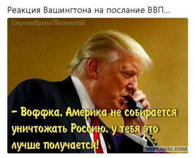 Я всегда голосовал за Путина