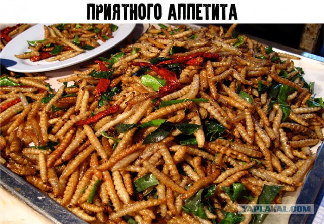Тушёнка