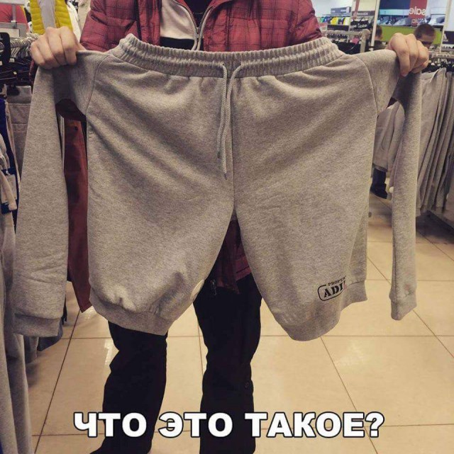 Лента прикольных картинок