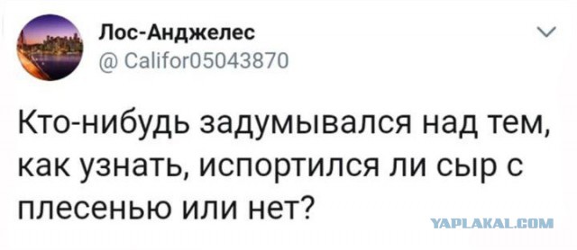 Очередные соцсети