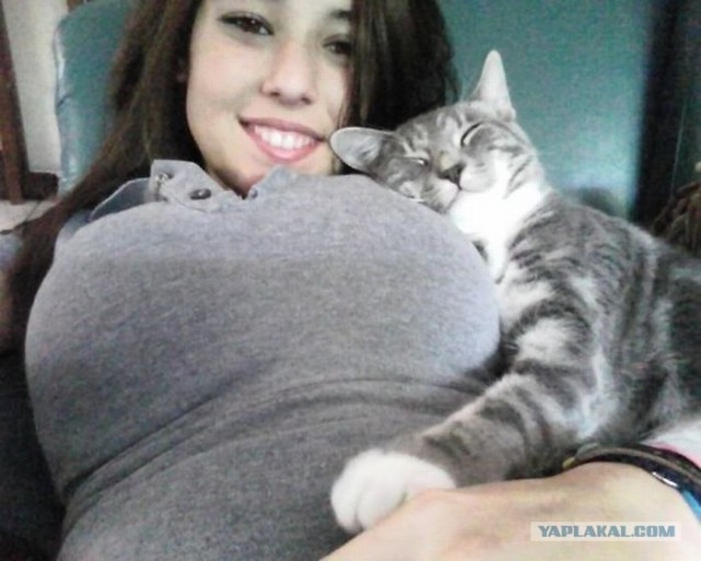 Котовторник объявляется открытым!