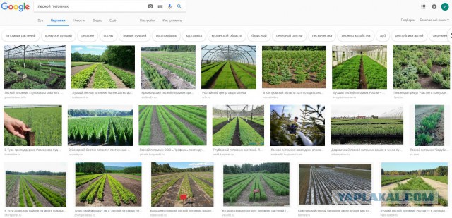 Интересные факты от National Geographic