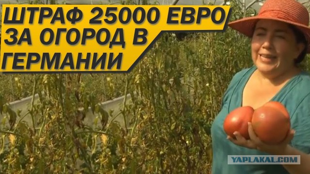 В Германии невозможно заменить лампочку на рабочем месте так, чтобы тебя не уволили