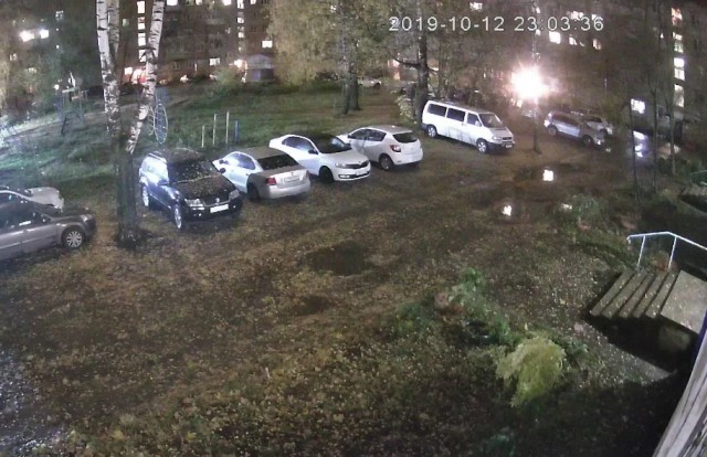 Геноцид женщин
