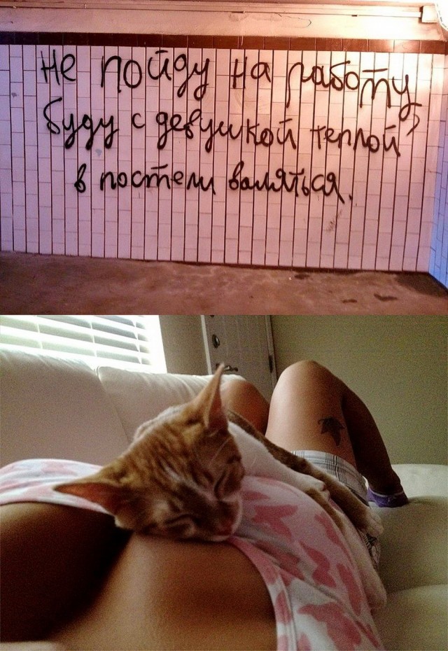 Котэ, Котэ и еще раз Котэ.