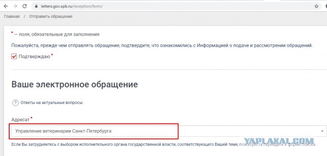 Помогите вернуть кота! Приют "Преданное сердце" украл кота и не отдает!-2