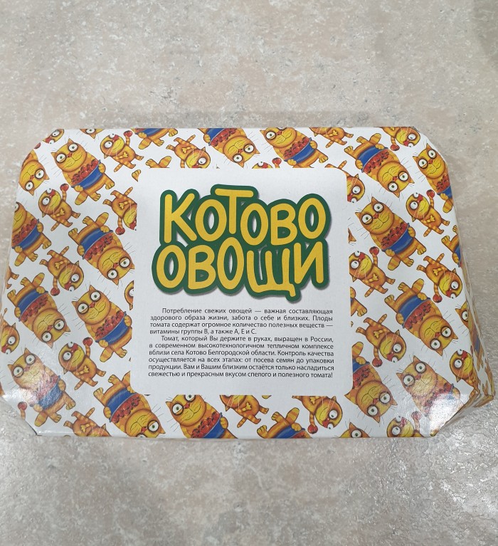 Заявление Васи Ложкина