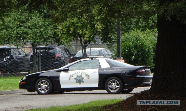 Интерцепторы: прошлое и настоящее полицейских автомобилей США