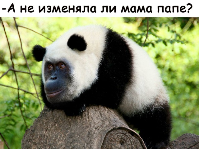 Немного картинок для настроения 10.05.20