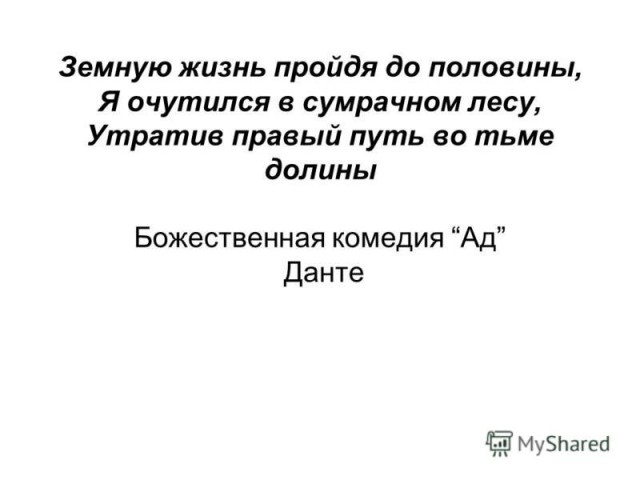 Есть всё, кроме смысла жизни